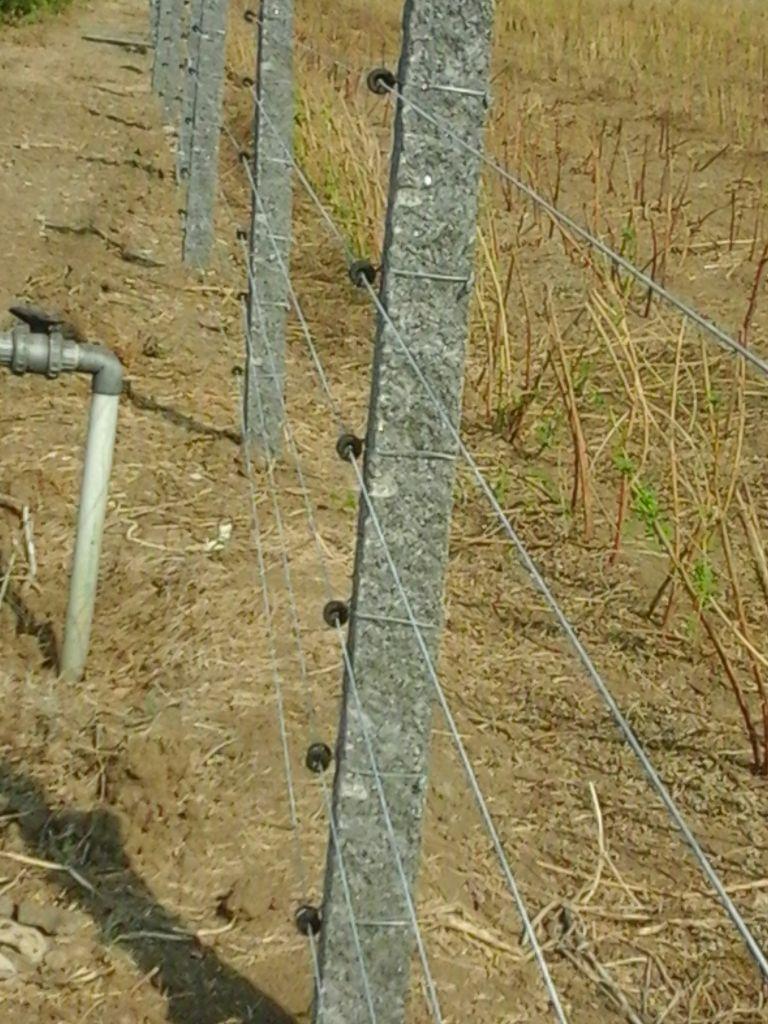 Agricultural Solar Fencing
