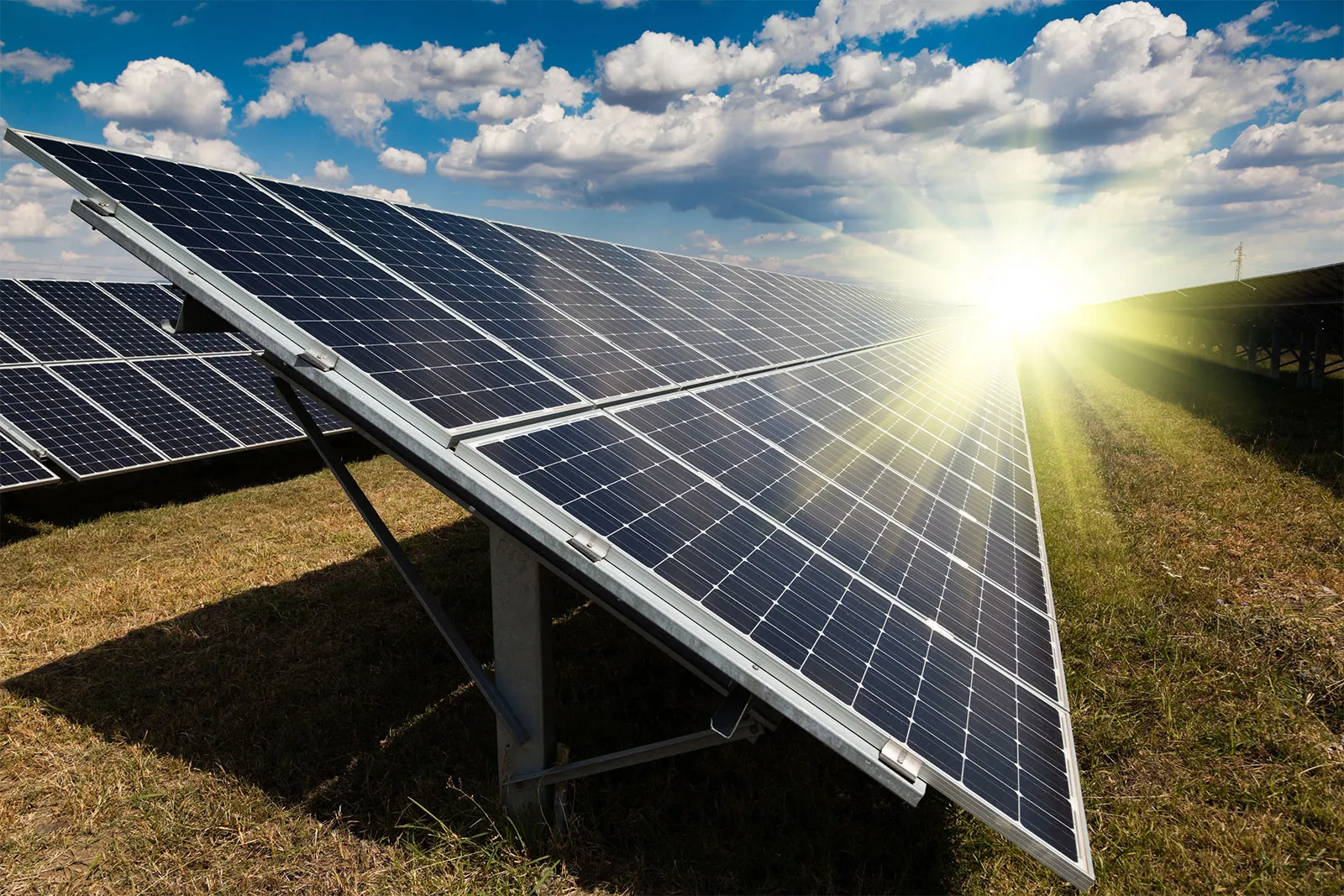 Solar Field
